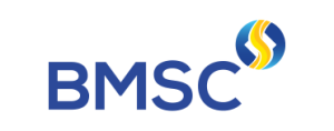 Bao Minh Securities